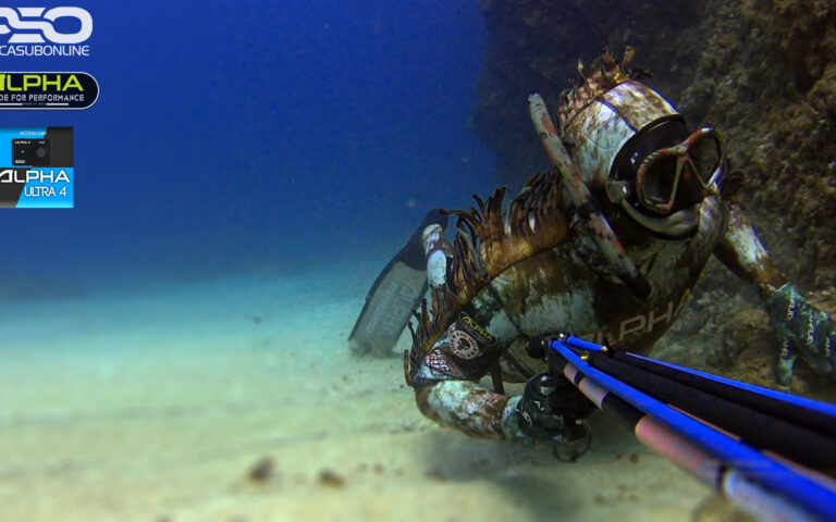 ACQUAMARINA - Vendita attrezzatura subacquea, apnea, pesca sub